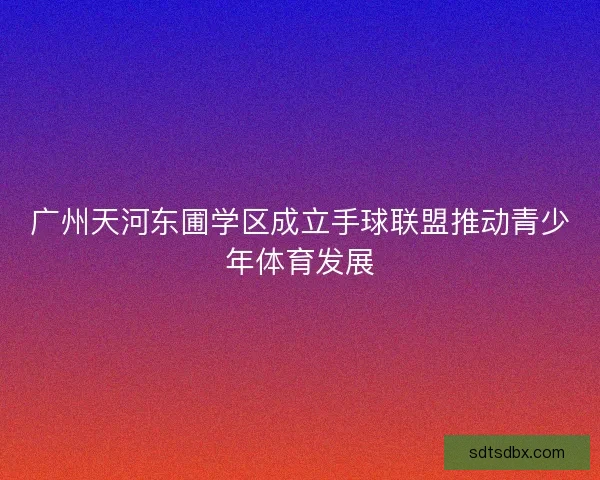 广州天河东圃学区成立手球联盟推动青少年体育发展